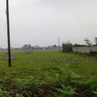 زمین روستایی بر خیابان اصلی|فروش زمین و ملک کلنگی|ماکلوان, |دیوار