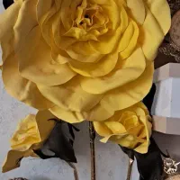 کنار سالنی، ساعت و گل