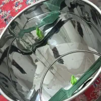 سبزی خردکن 4کیلویی|خردکن، آسیاب، غذاساز|شیراز, دارالرحمه|دیوار