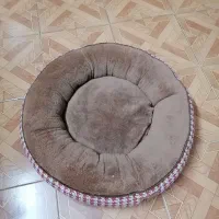 جای خواب سگ