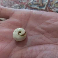 اتو برقی مهره اصلی سنگ