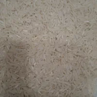 برنج فجر سوزنی ۹۰ روزه