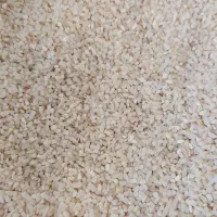 برنج طارم هاشمی شمال  شکسته