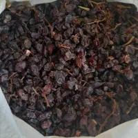 کشمش افتابی|خوردنی و آشامیدنی|ساوه, |دیوار