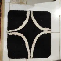 تعدادی پادری سالم و شیک|پادری|زاهدان, |دیوار