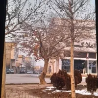 300-مترنزدیک-میدان-بافت-مرکزی-شهرک-بهار