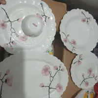 اکروپال ۱۲ نفره