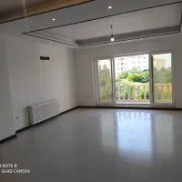 شریعتی 110متر/طلاو دلار را به خاک تبدیل کنید