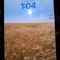 ipadpro/m4/256g/91%