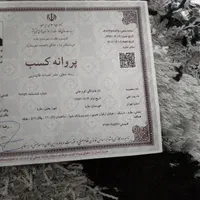 قالیشوی و مبل شویی نیلوفر (اندیشه فردیس مارلیک)