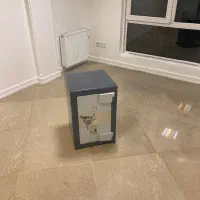 گاو صندوق