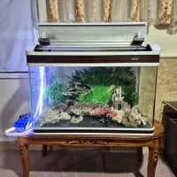 آکواریوم شیشه خم شرکتی ماهیران با تمام لوازم پرورش