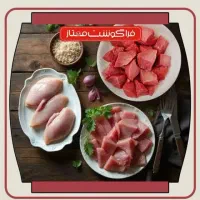 استخدام ویزیتور مبتدی و تازه کار