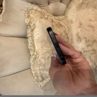 ایفون ۱۶ نرمال|موبایل|بروجرد, |دیوار