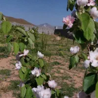 باغ ویلا منطقه سد امند