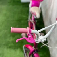 دوچرخه صورتی دخترانه اقساطی ۱۲ ماهه|دوچرخه، اسکیت، اسکوتر|گنبد کاووس, |دیوار