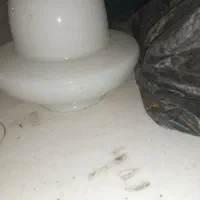 چند مدل حباب چراغ روشنایی|لامپ و چراغ|رودسر, |دیوار