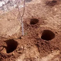 چاله کن دستی فرغونی اسمیت 6800 با دو مته فولادی|ماشینآلات صنعتی|تهران, شهرک ولیعصر جنوبی|دیوار