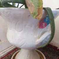 چند گلدان سرامیکی باهم سه ملیون
