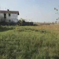 فروش فوری زمین 1850 متری/مناسب ویلا سازی|فروش زمین و ملک کلنگی|آستانه اشرفیه, |دیوار