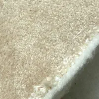 پالاز موکت کاملا سالم