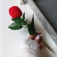 کادو ولنتاین|بدلیجات|نجف‌آباد, کهریزسنگ|دیوار