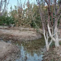 باغ ۴۴۰ متری|فروش زمین و ملک کلنگی|تهران, دولتخواه شمالی|دیوار