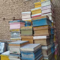 فروش کندوی زنبور عسل.جلگه رخ شهر نسر