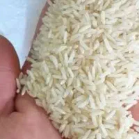 فروش برنج