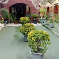 فروش وسایل رستوران کامل  از صفر تا صد|کافی‌شاپ و رستوران|تهران, بوستان چیتگر|دیوار