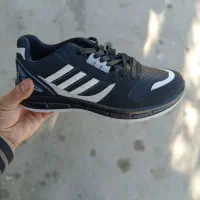 کفش اسپرت|کیف، کفش، کمربند|سرپل ذهاب, |دیوار