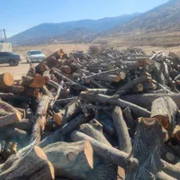 خریدار چوب درخت|خدمات باغبانی و درختکاری|یاسوج, |دیوار