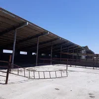 گاوداری ۵۰ راسی تمام صنعتی در شهرک دامگستر فشافویه|فروش دفتر صنعتی، کشاورزی، تجاری|کهریزک, |دیوار