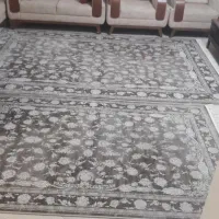 فرش کاشان|فرش|گرگان, |دیوار