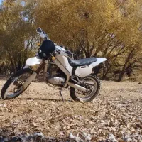 تریل آمیکو