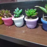 گل‌مینیمال‌بندانگشتی