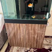 اگواریوم