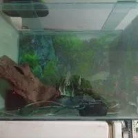 آگواریوم شیشه خم