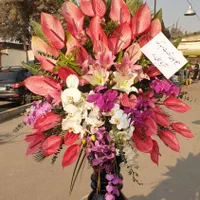 باکس گل،دسته گل،ماشین عروس،دسته گل عروس|گل و گیاه طبیعی|تهران, ازگل|دیوار