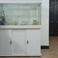 آکواریوم شیشه خم یک متری استفاده نشده
