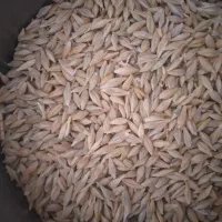 جوی آبی بهمن تناژ بالا