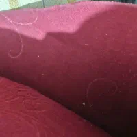 موکت|موکت|مشهد, خواجه ربیع|دیوار