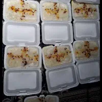 غذای آماده کوثر(بامواداولیه وبه روز)|خدمات پذیرایی، مراسم|زابل, |دیوار