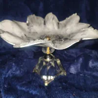 میوه خوری رزینی