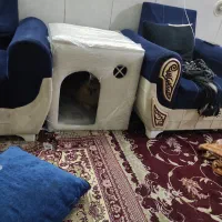 کلبه سگ گربه