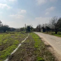 زمین ۲۵۰متری/مناسب ساخت ویلا/نزدیک پیست اسب سواری