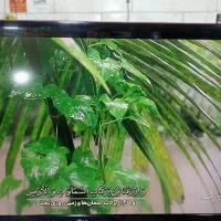 الجی 47این صحیح سالم به شرط