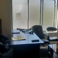نیروی کار