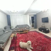 فروش واحد لوکس/110متر/کوچه پشمی