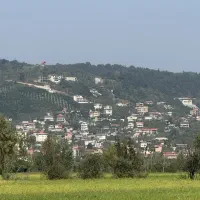 ۲۶۰۰ متر زمین کشاورزی در بابلکنار|فروش دفتر صنعتی، کشاورزی، تجاری|بابل, |دیوار